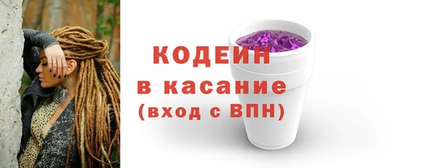 шишки Пестово
