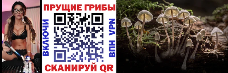 Галлюциногенные грибы MAGIC MUSHROOMS  Комсомольск 
